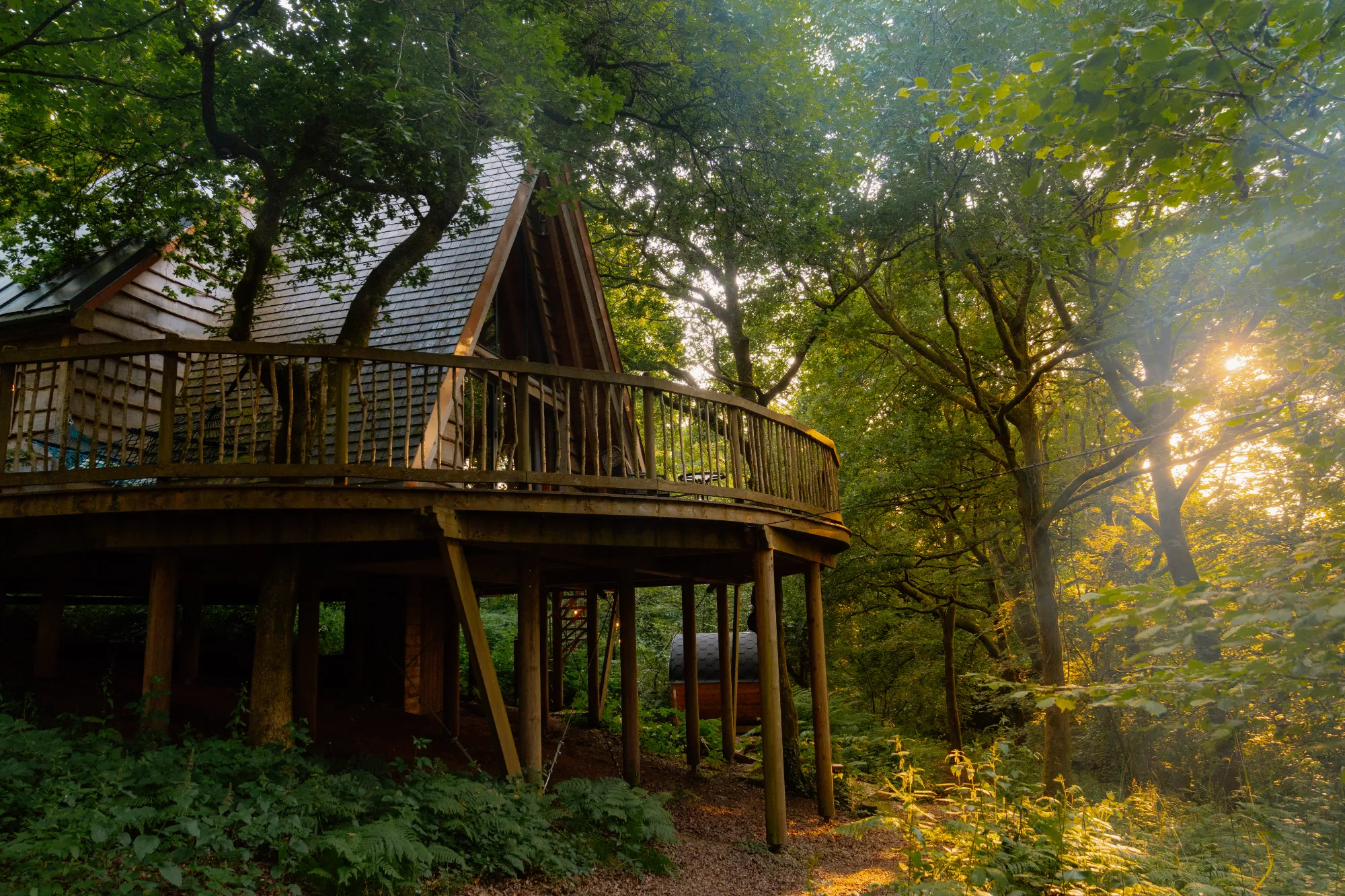 The PineView Cabin among mature woodland